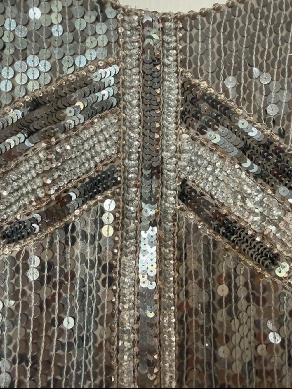 Parker Silver Sequin Embellished Crop Tank Top🩶 - Picture 2 of 7